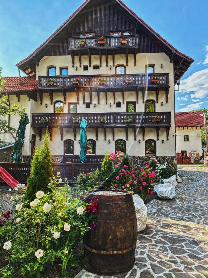 Pensiunea Manidum Buşteni Exteriér fotografie